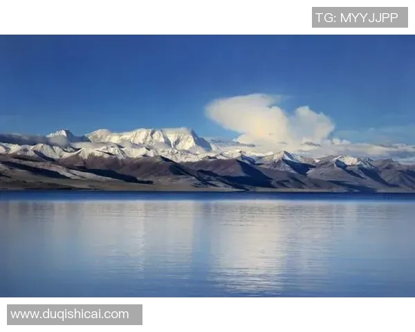 专访杨芳揭秘和平精英成功背后的策略与创新之路 专访杨芳揭秘和平精英成功背后的策略与创新之路